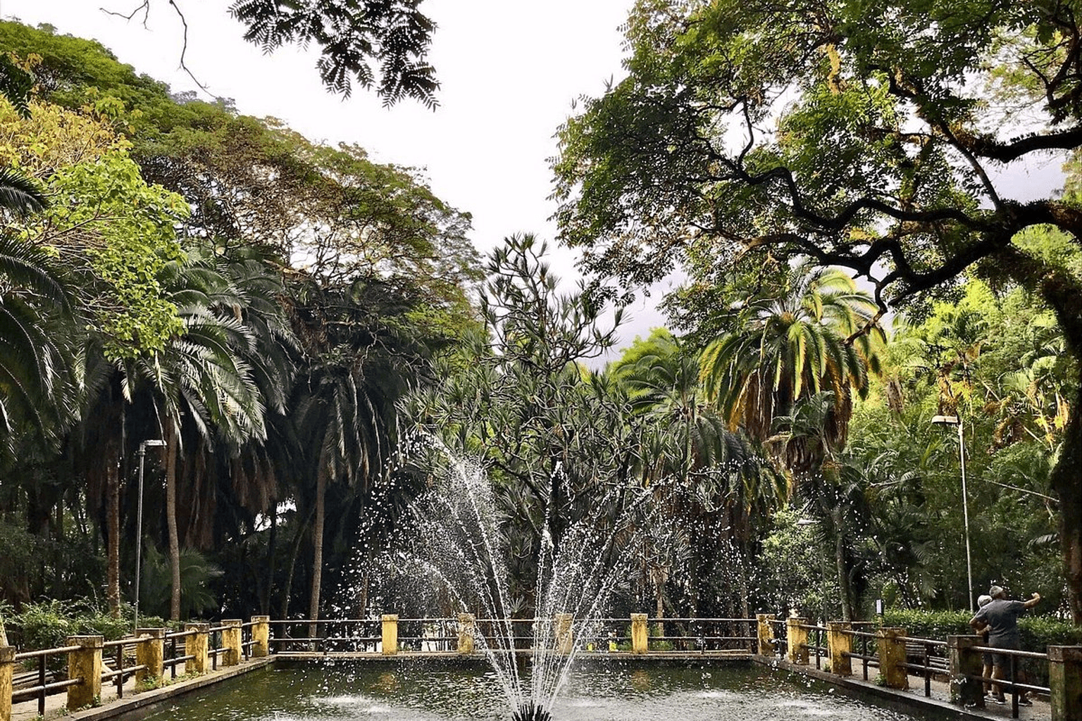 Allure Parque da Água Branca