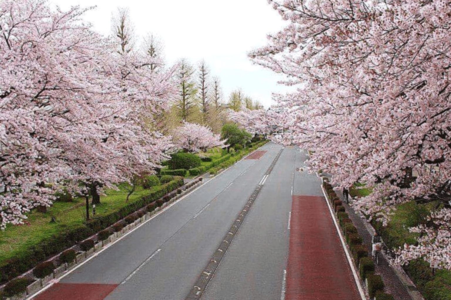 Apartment 0 bedrooms 0 bathrooms in Tokyo, Japan